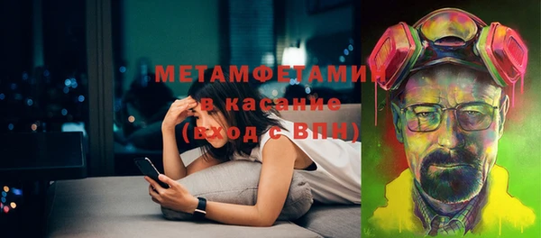 прущие грибы Лабытнанги