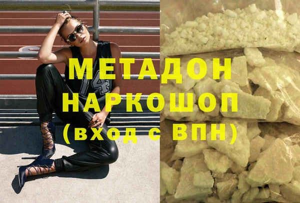 прущие грибы Лабытнанги