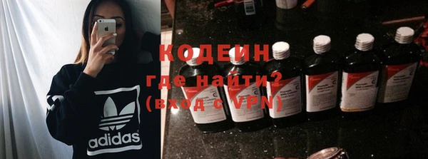 прущие грибы Лабытнанги