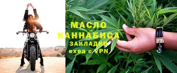 прущие грибы Лабытнанги