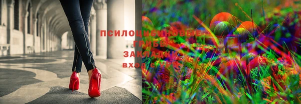дурь Кулебаки