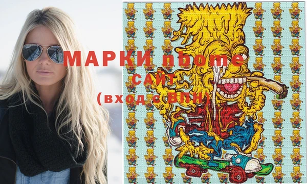 прущие грибы Лабытнанги