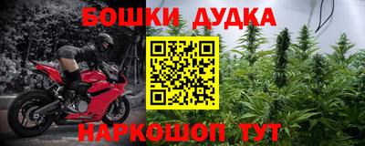 мяу мяу мука Кандалакша