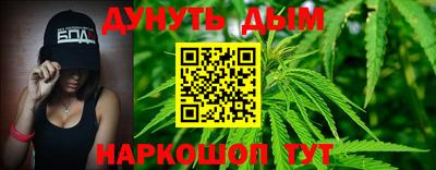 мяу мяу мука Кандалакша