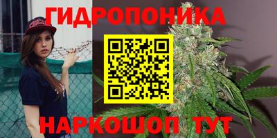 сатива Ипатово
