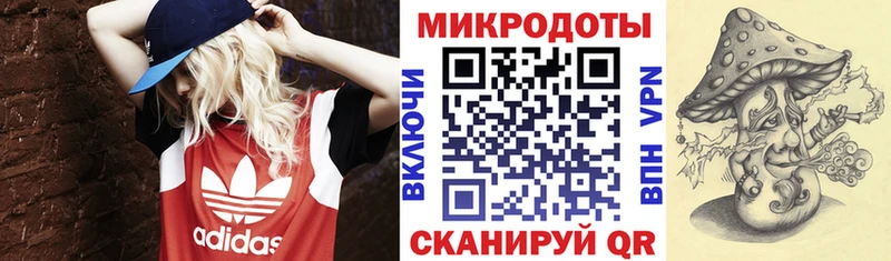 где можно купить наркотик  blacksprut рабочий сайт  Галлюциногенные грибы прущие грибы  Малгобек 