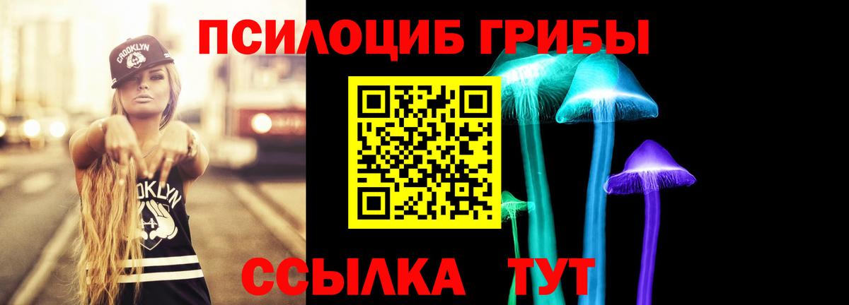 Псилоцибиновые грибы ЛСД Малгобек